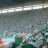 Seanybhoy9