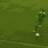 True_bhoy